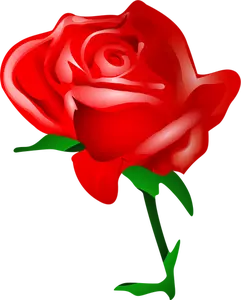 Gambar vektor mawar merah