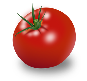 Punainen tomaatti