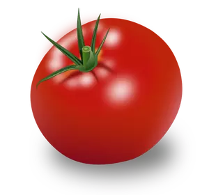 Červené rajče