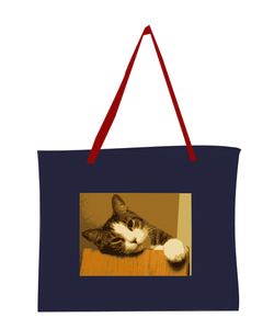 Bag with cat picture