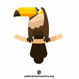 Toucan bird