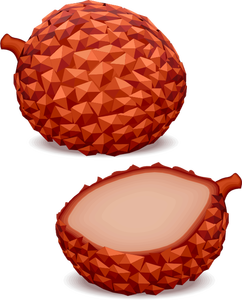 Tropisk frukt vektor image