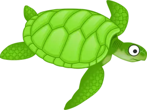 88 turtle free clipart | Public domain vectors