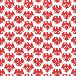Turkish pattern