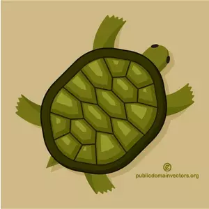 Green turtle miniaturi