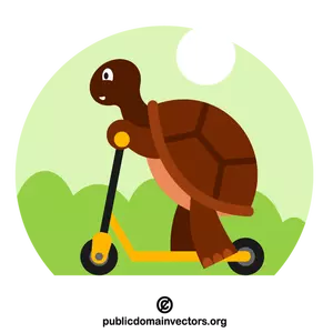 Turtle riding the kick scooter