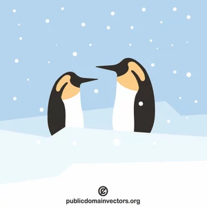 Dwa pingwiny