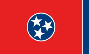 Vcetor illustratie van vlag van Tennessee