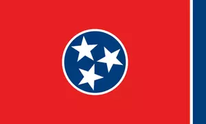 Vcetor illustration of flag of Tennessee