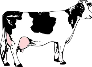 Vector afbeelding van volledige melk koe