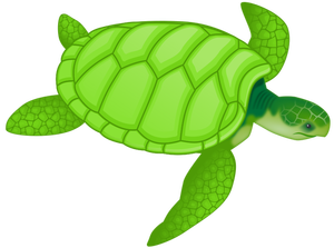 Żółw zielony wektor clipart