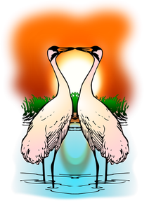 Two Love Whooping Crane Vector