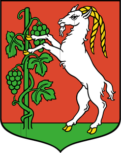 Disegno dello stemma della città di Lublino vettoriale