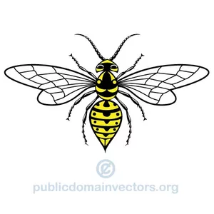 Wasp vector image