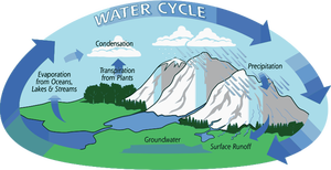 Water cycle vectorillustratie