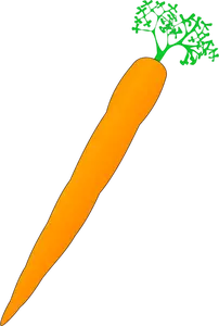 Vektorikuva oranssista porkkanasta
