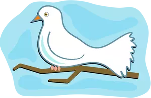 Weiße Taube Bild
