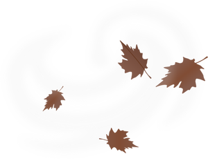 Brown fall leaves vector drawing on white background