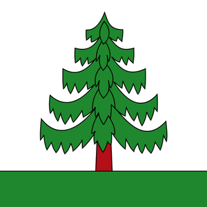 Vector drawing of a pine tree