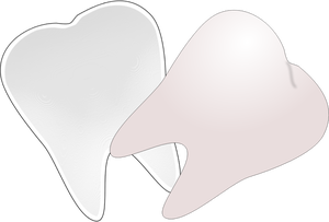 Zahn in halben vektorzeichnende geschnitten