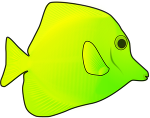 Tropisk fisk