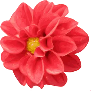 Dahlia blomst vektor