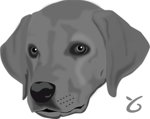 Dogface vector afbeelding