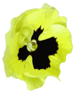 Pansy vector graphics