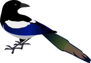 Immagine vettoriale di uccello gazza