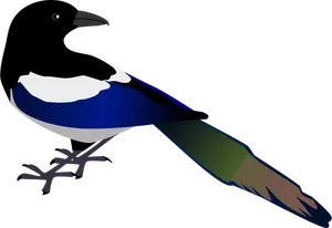 Image vectorielle de Pie oiseau