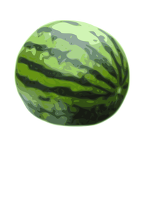 Wassermelone-Vektor-illustration