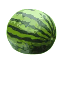 Vattenmelon vektor illustration
