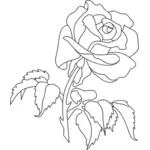 Rose with leaves line art vector clip art