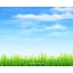 Sky and Grass Background
