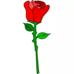 Vektorové grafiky barevné růže