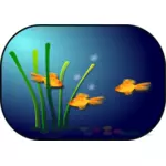 Aquarium vector afbeelding