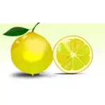 Image vectorielle citron