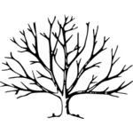 شجرة مع رسومات المتجهات جذور