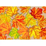 Bright fall leaves vector graphics