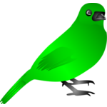 Oiseau Vert Vecteurs Publiques