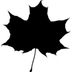 Maple leaf silhouette vector image