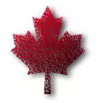 加拿大枫叶矢量绘图