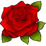 Grafiki kwitnący Rose z czarną obwódką
