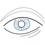 Векторная иллюстрация контур глаз