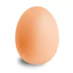 ביצה