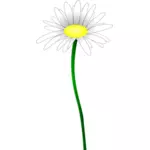 Simple color illustration of a simple daisy