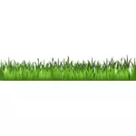 Groen gras beeld