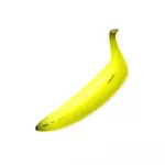직선 모양의 바나나의 벡터 클립 아트