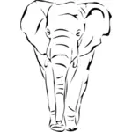 Vector illustration of front facing elephant