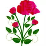 Grafis vektor empat mawar pada satu stam